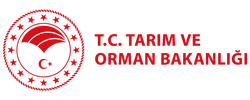 tarim orman